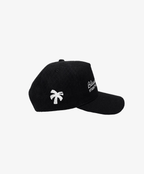BN Cap Black